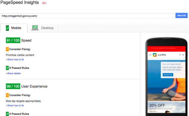 Magento 2 Google Page Speed 90% | Mobile Optimization | Reduce Server Response Time | Score | Goivvy.com
