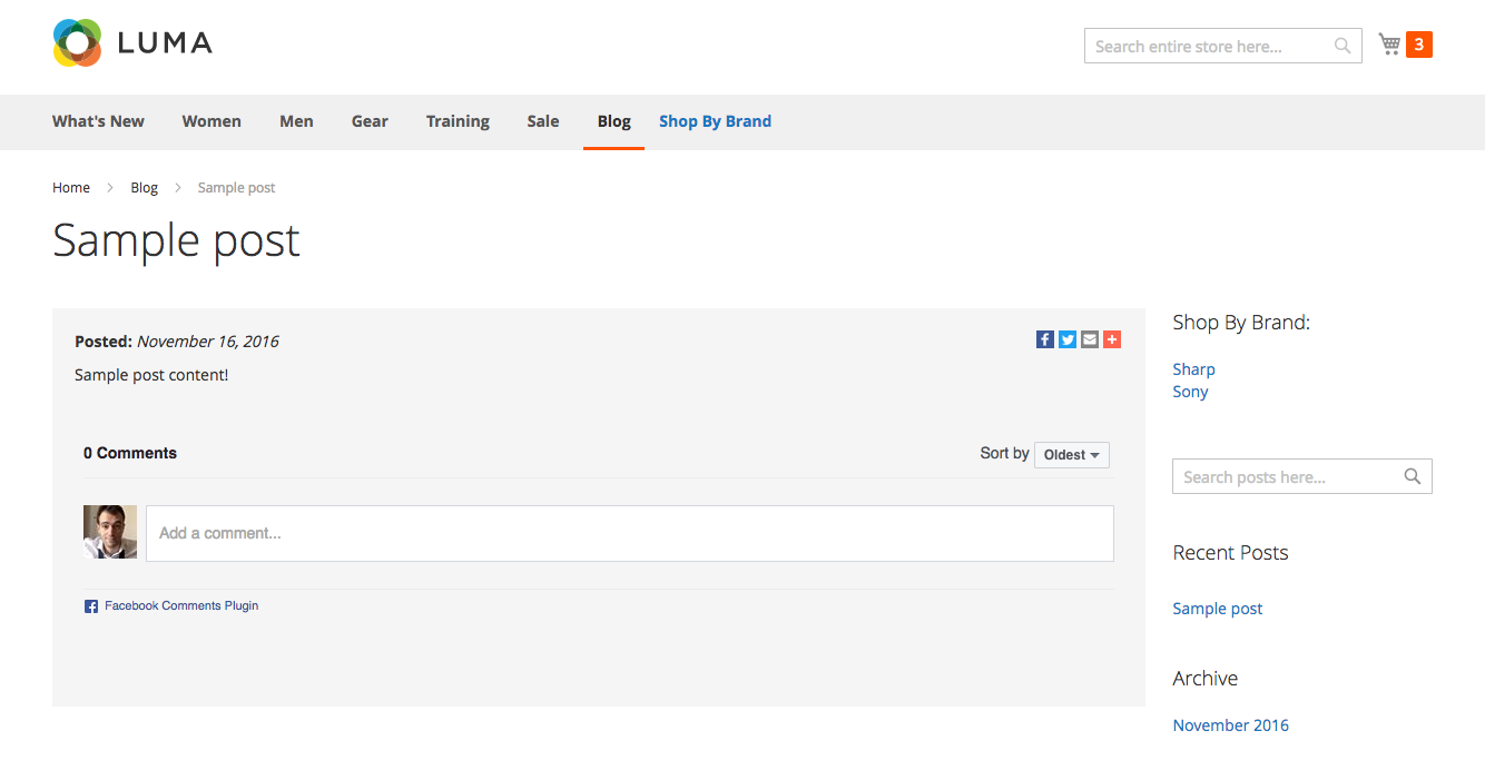Free Blog frontend page