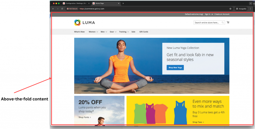 Above-the-fold Content