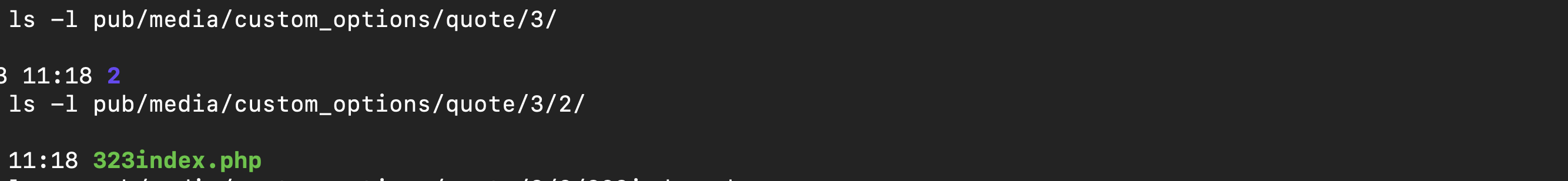 Magento 2 PolyShell Exploit Protection