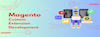 Magento Custom Extension Development