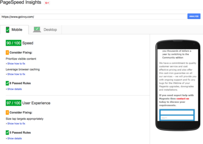 www.goivvy.com: 90+ Google PageSpeed Score for Mobile | Optmizing Magento Performance | Goivvy.com www.goivvy.com: 90+ Google PageSpeed Score for Mobile | Optmizing Magento Performance | Goivvy.com